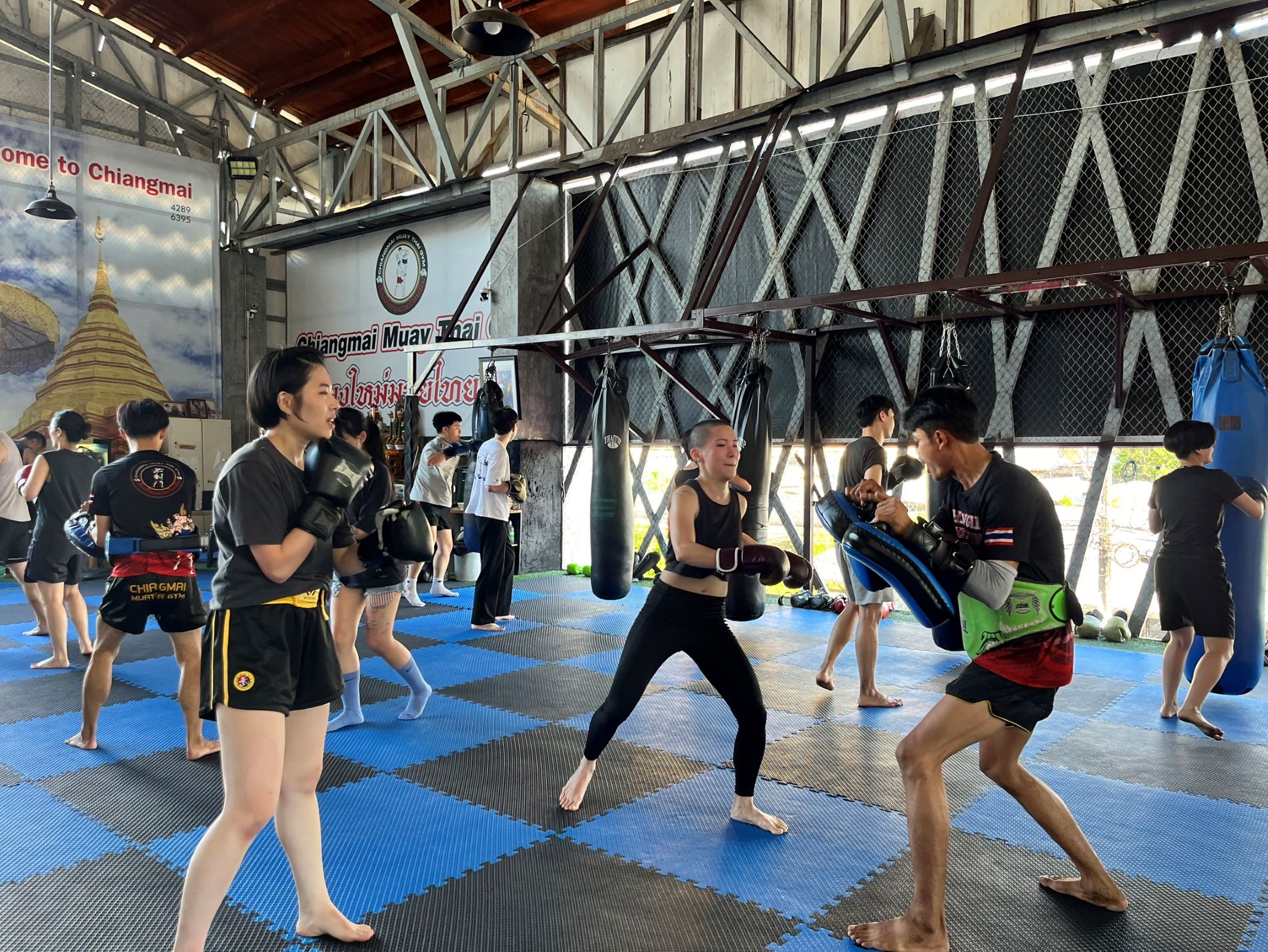 Chiang Mai Muay Thai logo